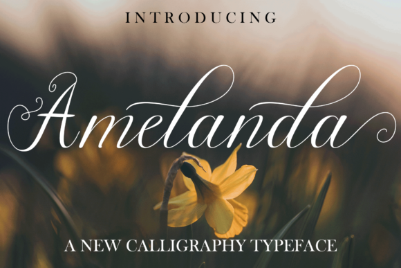 Amelanda: A Real-World Designer Review