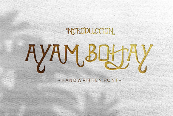 Ayam Bohay: A Classy Handwritten Font for Editorial Design