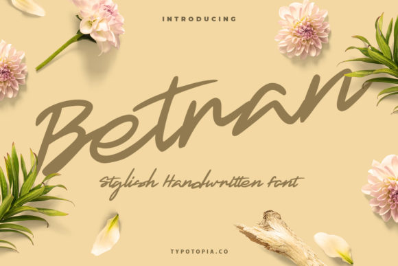Betran: A Handwritten Font for Editorial Design