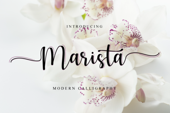 Marista Font: A Web Designer's Review