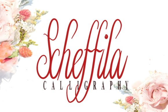 Schefilla: The Elegant Script Font for Marketers